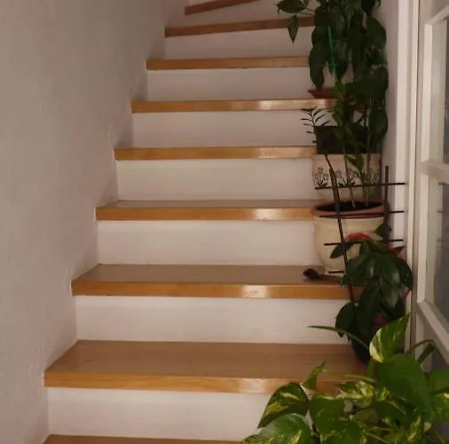 Jakova Dudana 10 Apartamento *